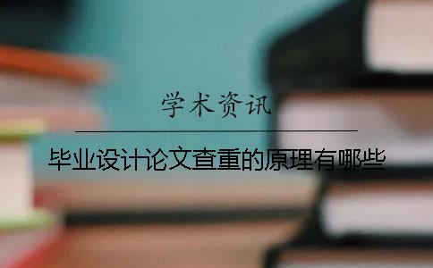 畢業設計論文查重的原理有哪些