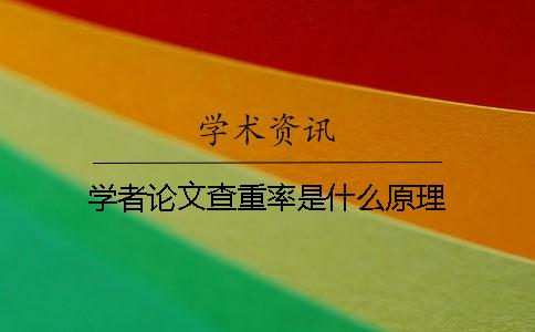 學者論文查重率是什么原理