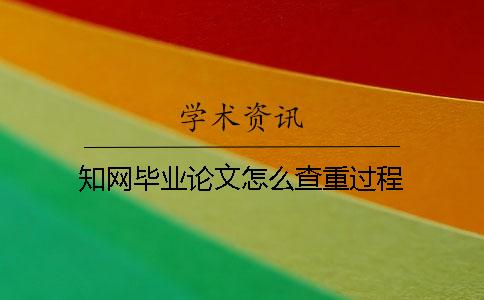 學(xué)術(shù)畢業(yè)論文怎么查重過(guò)程