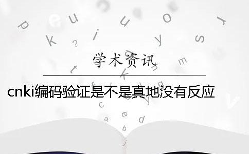 cnki編碼驗證是不是真地沒有反應？